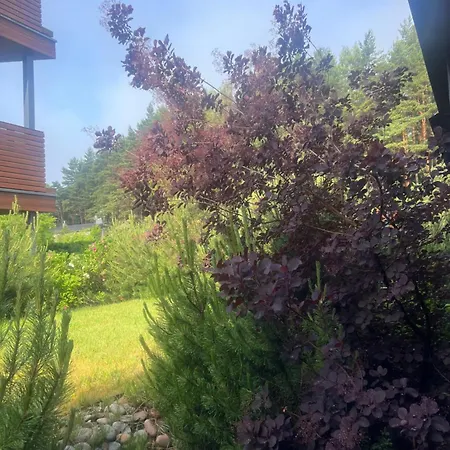 Semo Apartamentai Palanga